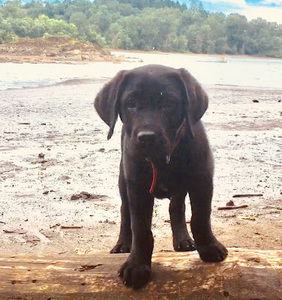 Meet your Posher, Grayden